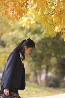 燕云十六聲官網