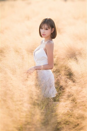 筆仙怪談在線觀看免費觀看