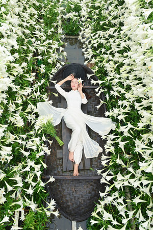 楊門十二寡婦艷史完整版