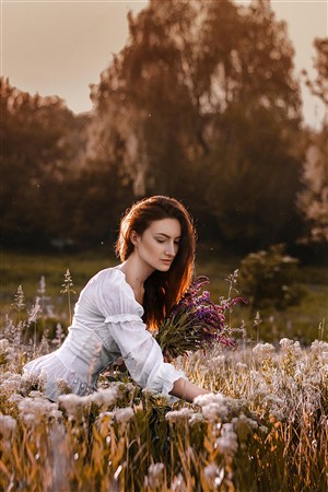 小嬌妻太兇陸爺把持不住了短劇在線免費看