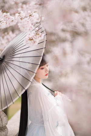 XL上司在線觀看