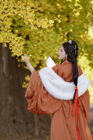 寶貝過來跪下叫爸爸叫什么歌