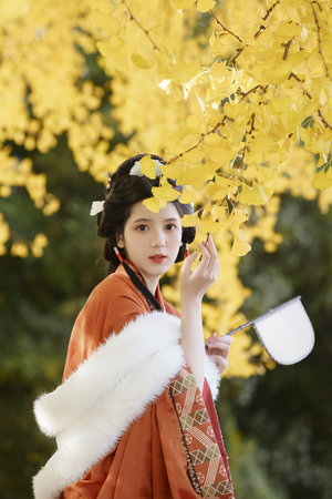 2012在線播放國語bd