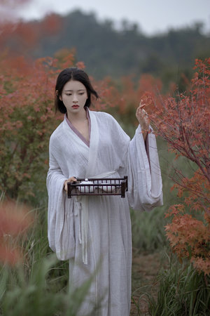 做局最新超前章節免費閱讀