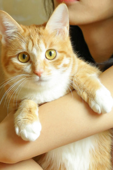 忽如一夜病嬌來全集免費漫畫