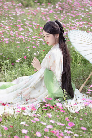 賀先生的戀戀不忘免費觀看電視劇