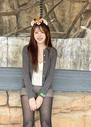 滅火寶貝2:決戰叢林