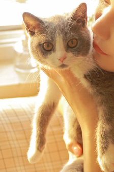 天官賜福第11集