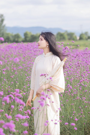 精品國產sm最大網站免費觀看