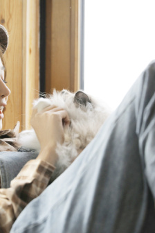 梁書記日三姐妹全文免費閱讀