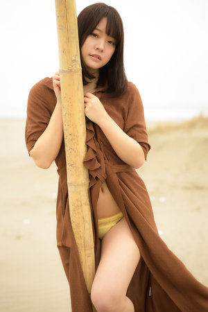 正陽門下電視劇全集免費觀看