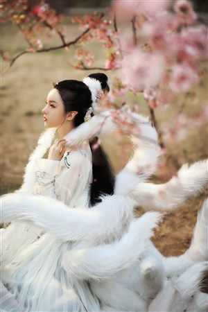 蘇蘇的公交車日記TXT