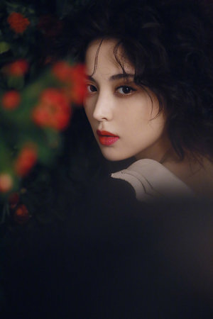 鴨王2電視劇國語