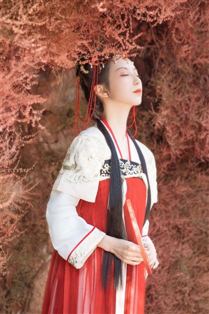 回復術士的重來人生