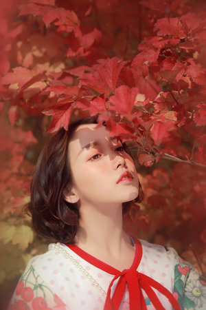 花心少爺的麻辣未婚妻