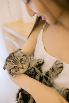 劍俠電視劇全集免費觀看