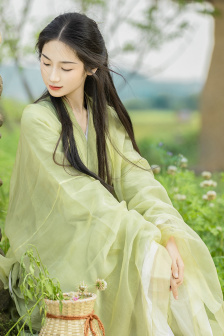 電影《波麗露》