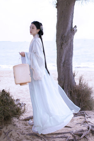 斛珠夫人電視劇在線觀看