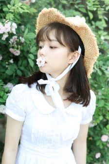 我和我的家鄉在線播放