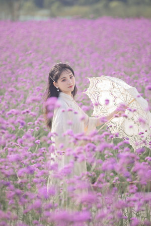 喬冬暖譚慕城全文免費閱讀