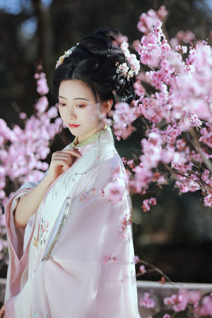 35集大刺客國語版在線觀看