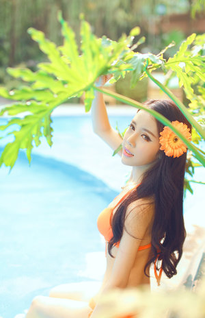 少爺和他的體育雄犬們小說