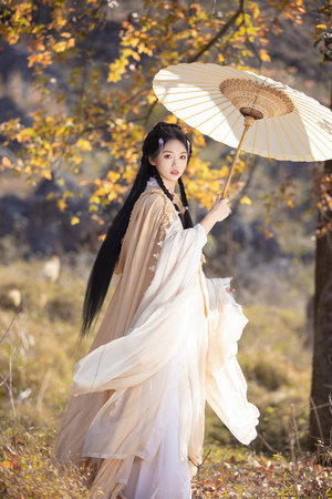 掃黑風暴電視劇在線觀看免費完整版