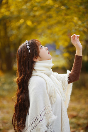 上流社會韓國免費觀看完整版電影