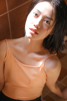 少爺和他的體育雄犬們小說