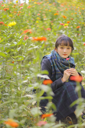 困獸電影高清完整版在線觀看