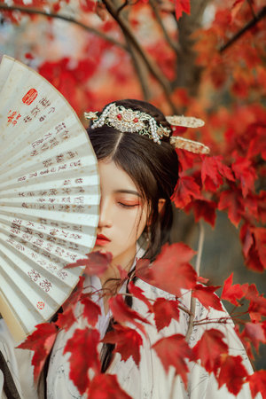 羔羊醫生電影在線觀看免費完整版中文