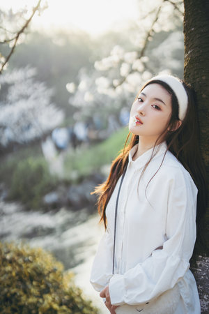 完美伴侶劇情介紹分集