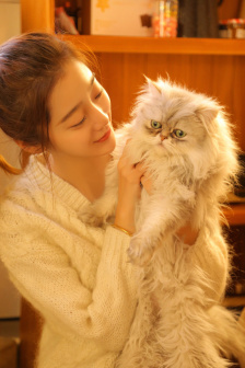 電工周裕民劉芳最強王者