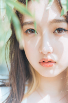 獵冰電視劇全集高清免費播放