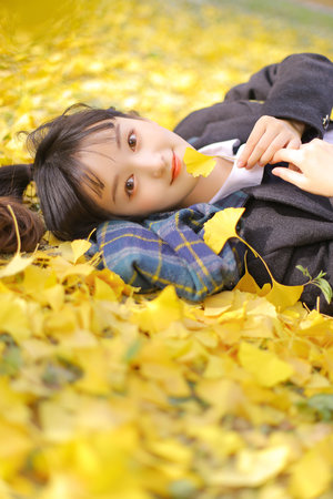 驚艷小說合集500篇