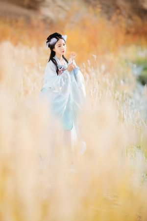 火影之完美世界