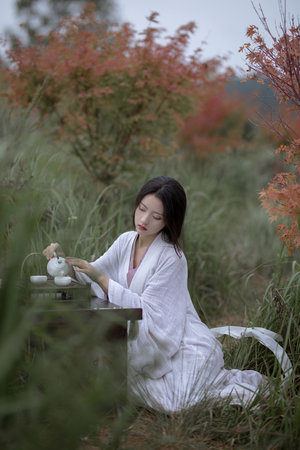 城中之城電視劇在線播放免費觀看