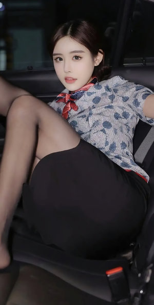 文豪野犬第一季免費