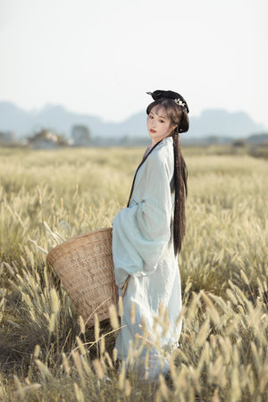 電影《金悔瓶》免費觀看