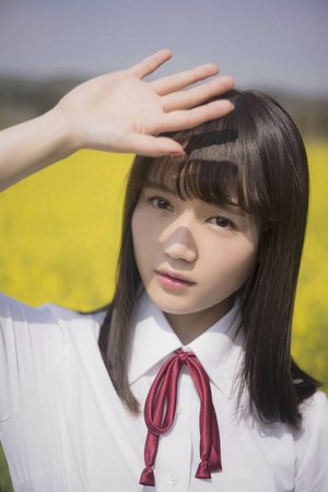 新白娘子傳奇2016演員