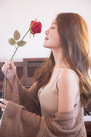 奇幻精靈事件簿