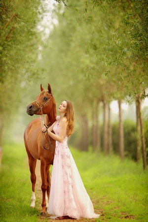 《醫生的特殊治療2》