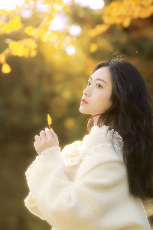 機動戰士高達seed