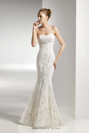 以愛為營電視劇免費觀看完整版