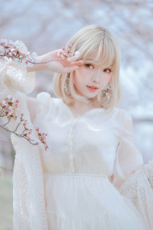 公仔箱論壇入口