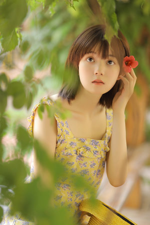 日本大片又大又好看的PPT模板免費