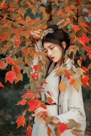 韓劇《大度》在線