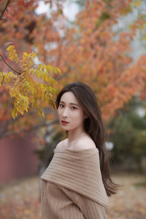 好看的電影你懂的