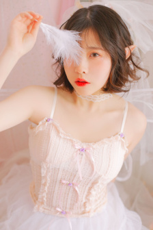 人與動物PPT免費模板大全