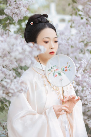 麥克斯奧特曼全集